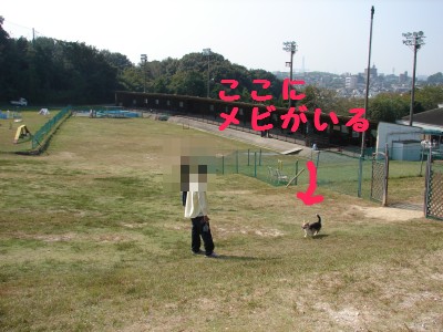 DSC02652.jpg
