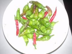 DSC08126.jpg