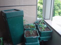 DSC08142.jpg