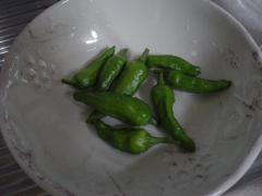 DSC08192.jpg