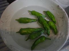 DSC08193.jpg