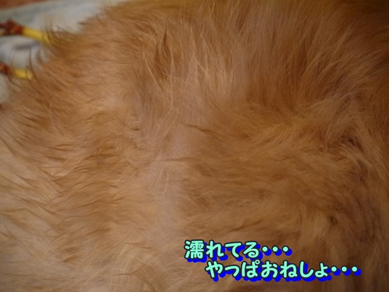 メルモ