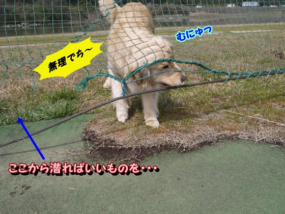 メルモ