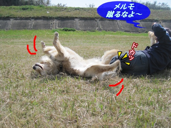 メルモ