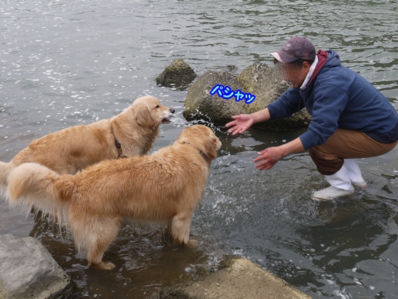 ぐりことメルモ