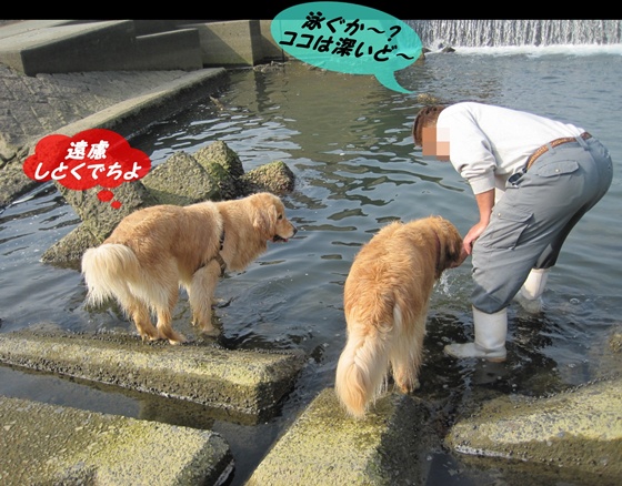 ぐりことメルモ