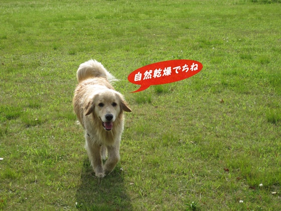 メルモ