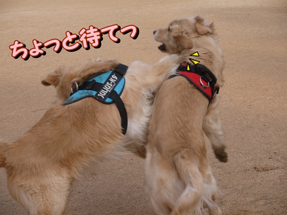 ぐりことメルモ