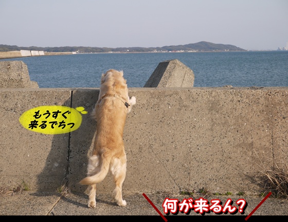 メルモ
