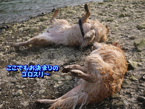 ぐりことメルモ