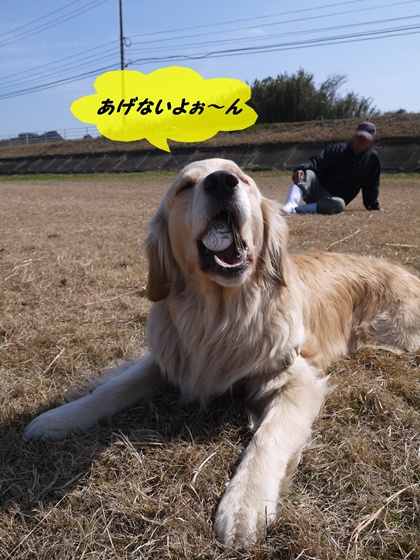 メルモ