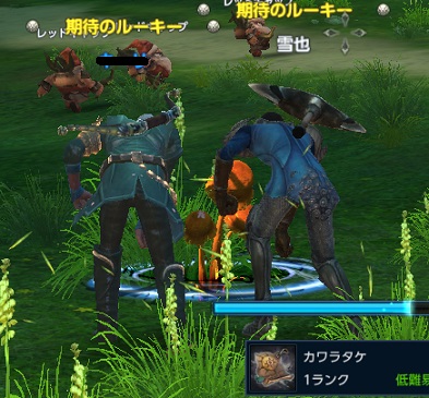 カワラタケ採り