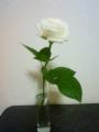 201207211850000.jpg