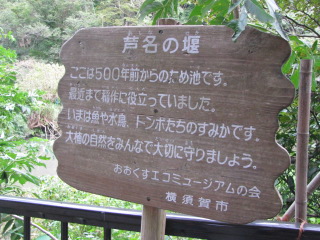 2012-9-29-8.jpg