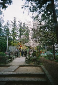 vivi_pre400_000008.jpg