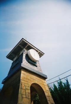 vivi_pre400_000008.jpg
