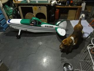 DSC06422_R_RR.jpg