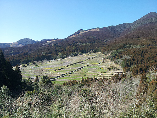 20130306_141128.jpg
