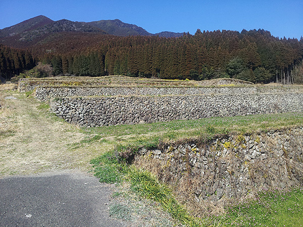 20130306_142213.jpg