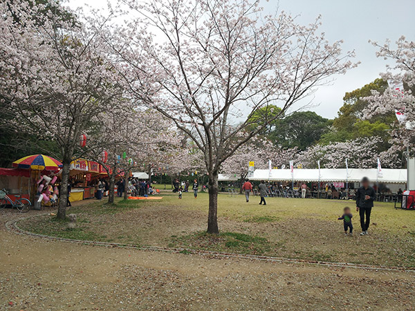 20130324_124325.jpg