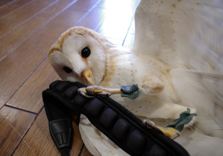 こんなこともしちゃうもん!