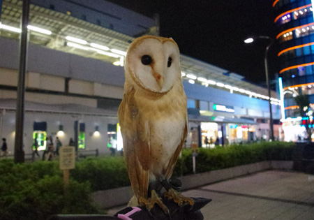 夜の駅前1