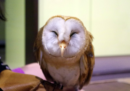 ウマウマ1