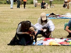 image-1337520704-V.jpg