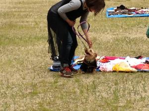 image-1337520716-V.jpg