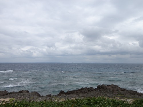 DSC01114.jpg