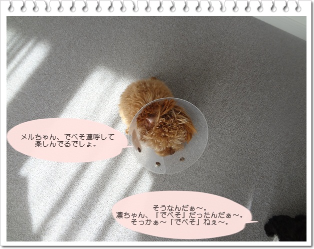 DSC07510.jpg