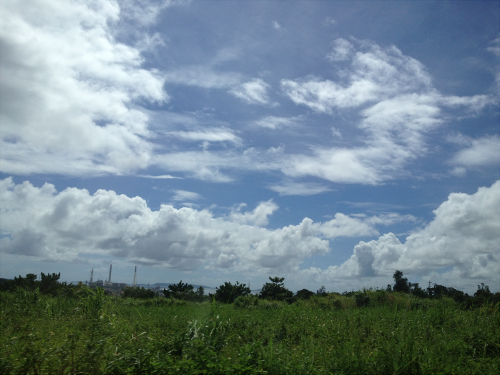 IMG_2294.png