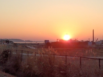 IMG_20140101_065658.jpg