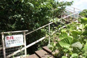階段