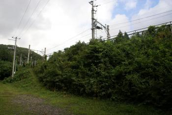 八ツ森駅入口