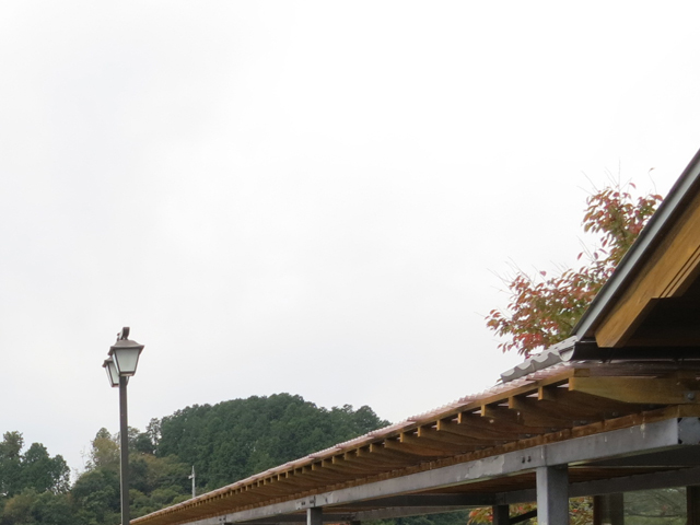 太陽さーん!!出てきて~(>_<)