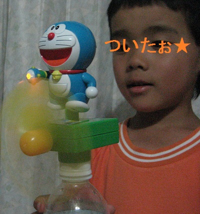 dora_IMG_0531.jpg