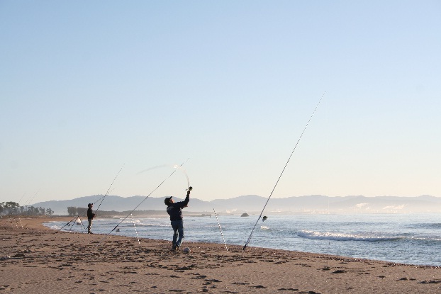 7_20121015183945.jpg
