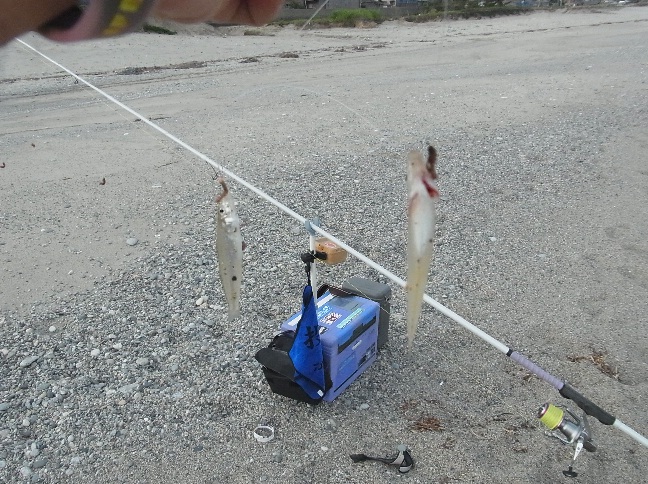 8_20120702071443.jpg