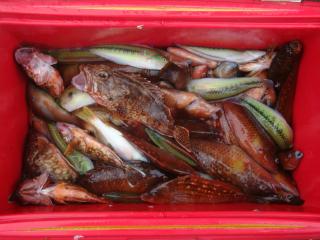 DSC04152_convert_20120702125516.jpg