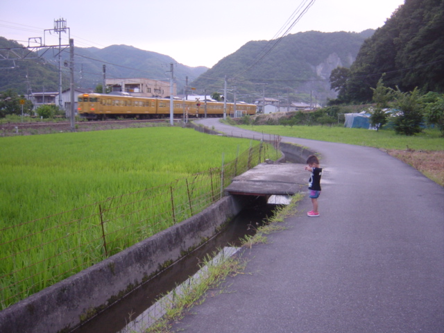 電車