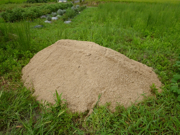 マサ土