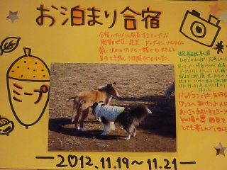 お泊り合宿2012年11月