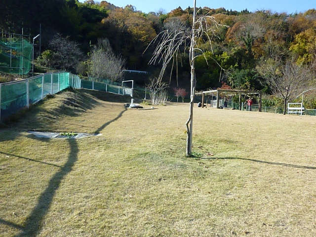 やまの上のドッグラン1