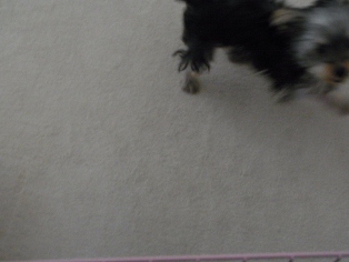 おかえり7