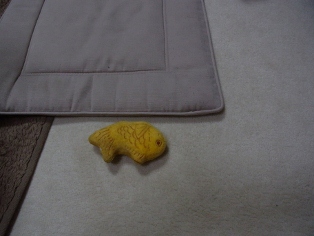 ぽつん・・・