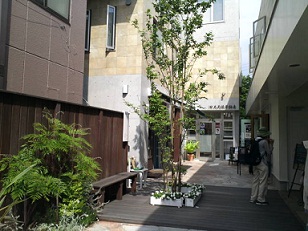 SN3T0005.jpg