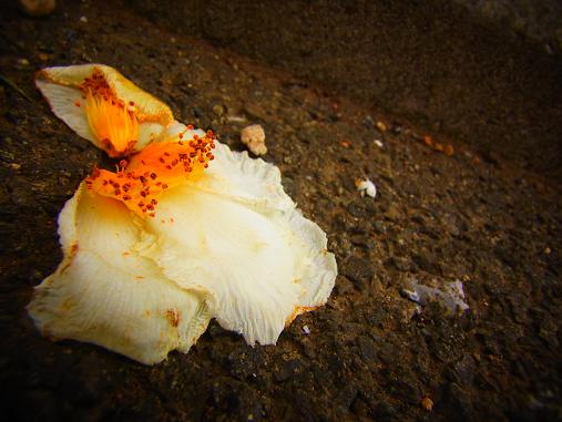 2012.6.30分 休憩日記ろ。+写真 5