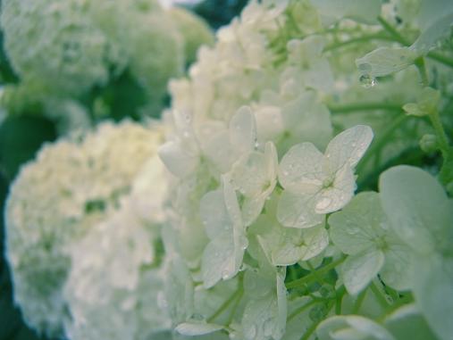 2012.7.12分 お菓子+写真 4