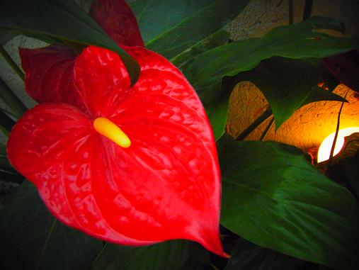 2012.9.1分 誕生日の水族館の写真 2